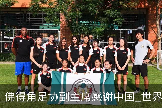 佛得角足协副主席感谢中国 世界杯后将安排与国足友谊赛