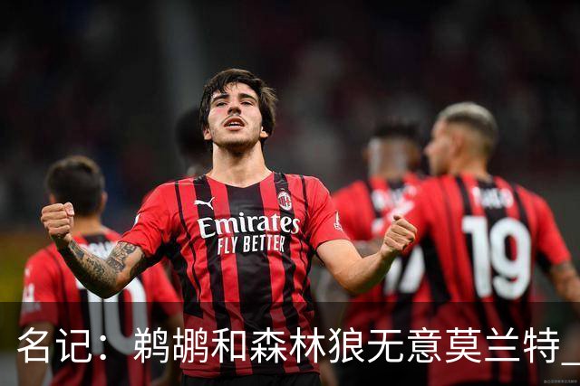 名记：鹈鹕&森林狼无意莫兰特 热火也不急于尝试其与字母哥的搭档