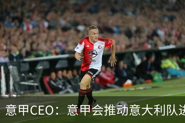 意甲CEO：意甲会推动意大利队进步 国家队低迷原因得追溯到20年前